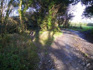 On St Gwinio's Walk in Cwmbach