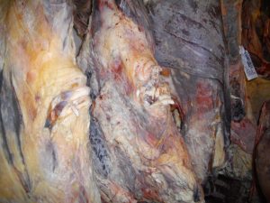 Our latest beef carcase hung in the chiller for 56 days. Inside it's dark red and full of flavour and tenderness.